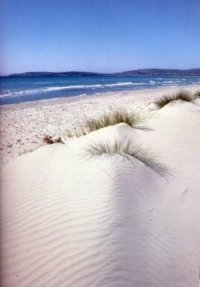 Costa sabbiosa (Marina di Sorso)
